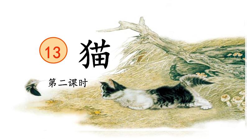 13《猫》第二课时课件PPT01