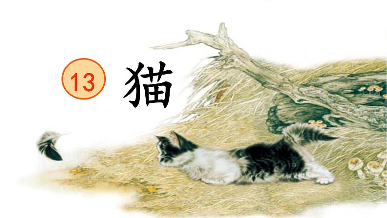 13《猫》第一课时课件PPT01