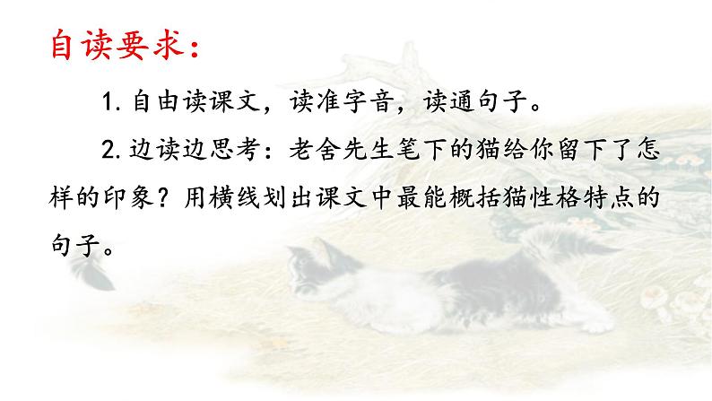 13《猫》第一课时课件PPT05