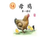 14《母鸡》第一课时（定稿）课件PPT