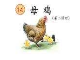 14  《母鸡》第二课时课件PPT