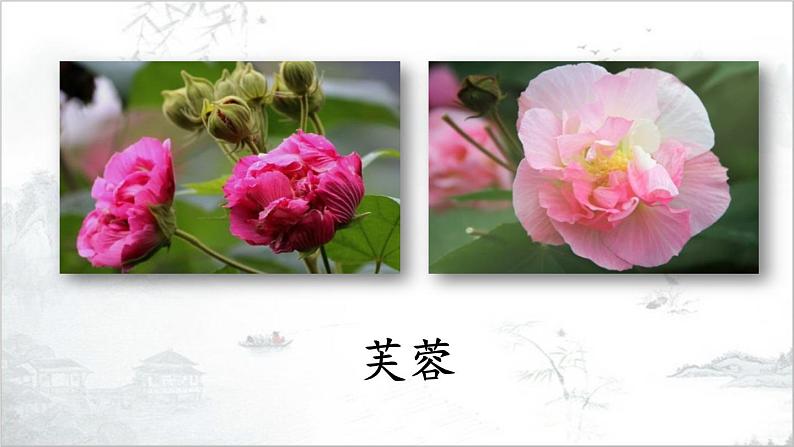 22《古诗三首·芙蓉楼送辛渐》课件PPT07