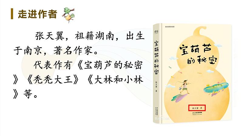 26《宝葫芦的秘密》第一课时课件PPT第4页