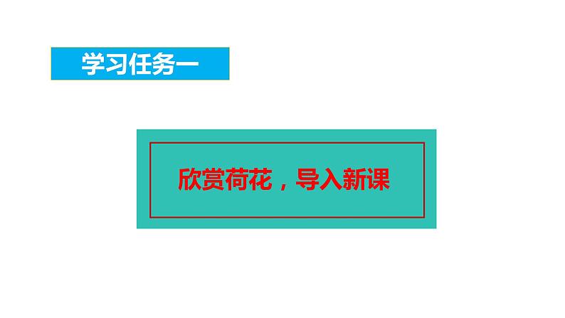 第三课《荷花》第一课时（教学课件）-2023-2024学年三年级语文下册同步精品课堂系列（统编版）02