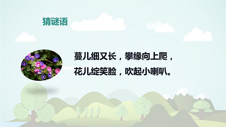 习作：我的植物朋友（教学课件）-2023-2024学年三年级语文下册同步精品课堂系列（统编版）08