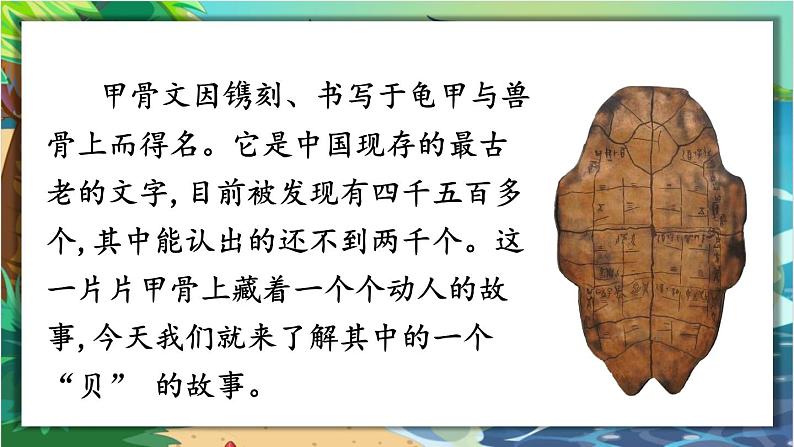 部编版语文2下 3《“贝”的故事》课件+教案+音视频素材02