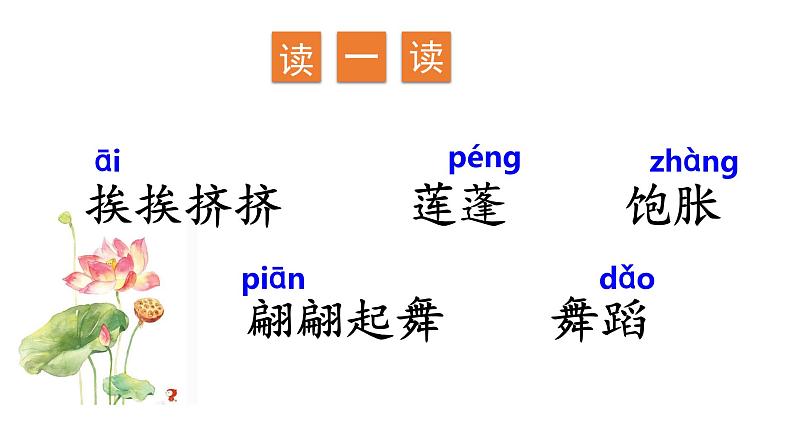 三年级语文下册第一单元3荷花教学课件第7页
