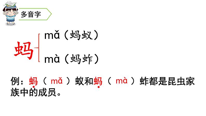 三年级语文下册第一单元4昆虫备忘录教学课件07