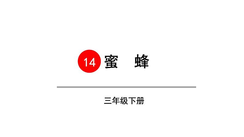 三年级语文下册第四单元14蜜蜂教学课件04