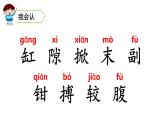 三年级语文下册第四单元15小虾教学课件