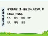 6骑鹅旅行记（节选）预习课件