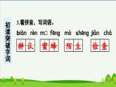 第十四课蜜蜂预习课件