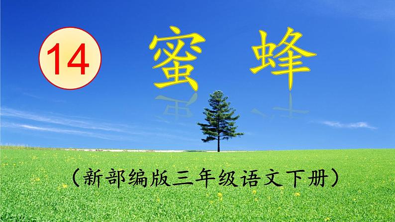 部编三年级下册《蜜蜂》 课件第1页