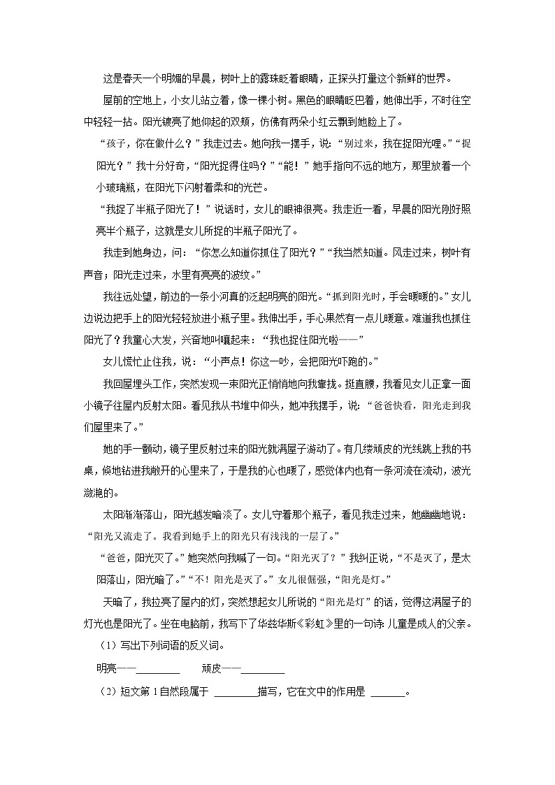 4 梅花魂  （进阶篇）2023-2024学年下学期小学语文人教部编版五年级同步分层作业第3页