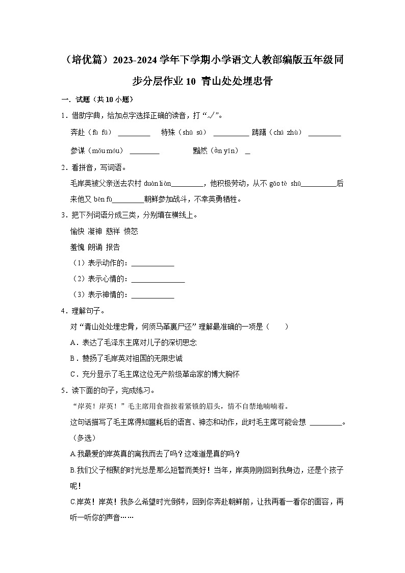 10 青山处处埋忠骨  （培优篇）2023-2024学年下学期小学语文人教部编版五年级同步分层作业第1页