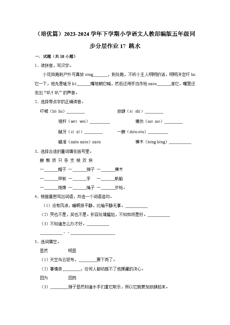 17 跳水  （培优篇）2023-2024学年下学期小学语文人教部编版五年级同步分层作业第1页