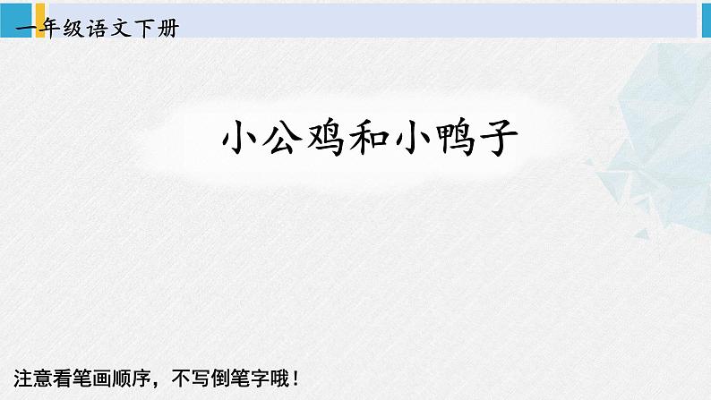 一年级语文下册生字笔顺4 小公鸡和小鸭子（教学课件）01