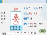 一年级语文下册生字笔顺16 动物王国开大会（教学课件）