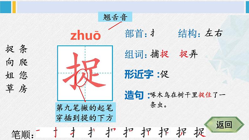 一年级语文下册生字笔顺20 小壁虎借尾巴（教学课件）第3页