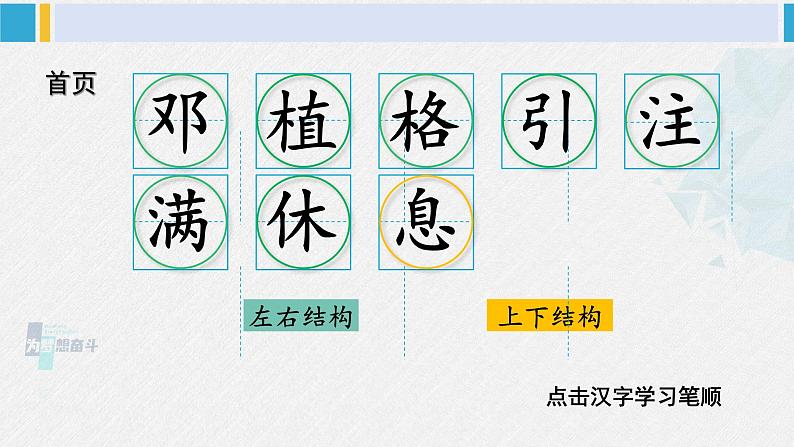 二年级语文下册生字笔顺 4 邓小平爷爷植树（教学课件）第2页