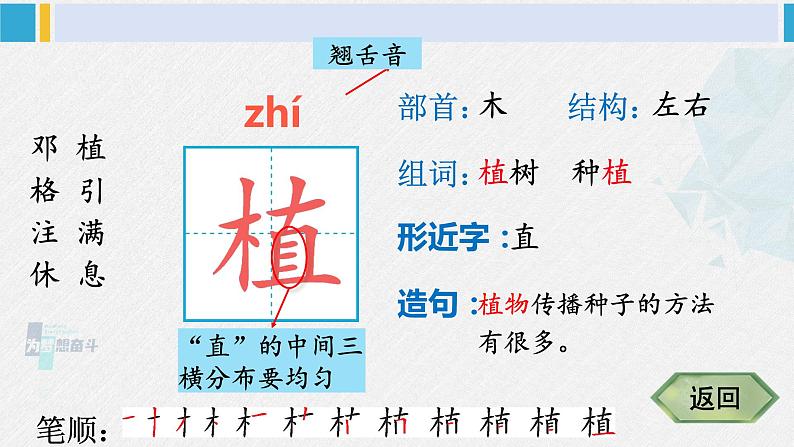 二年级语文下册生字笔顺 4 邓小平爷爷植树（教学课件）第4页