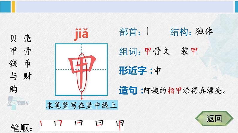 二年级语文下册生字笔顺 识字3 “贝”的故事（教学课件）第5页