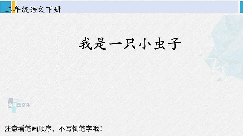 二年级语文下册生字笔顺 11 我是一只小虫子（教学课件）第1页