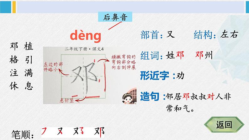 二年级语文下册字帖笔顺教学4 邓小平爷爷植树（课件）第4页