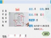 二年级语文下册字帖笔顺教学识字3 “贝”的故事（课件）