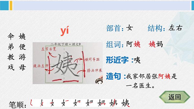 二年级语文下册字帖笔顺教学9 枫树上的喜鹊（课件）第5页