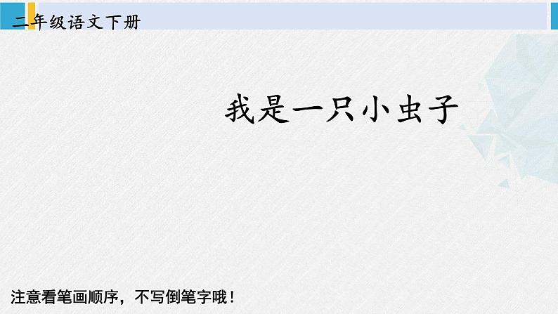 二年级语文下册字帖笔顺教学11 我是一只小虫子（课件）第2页