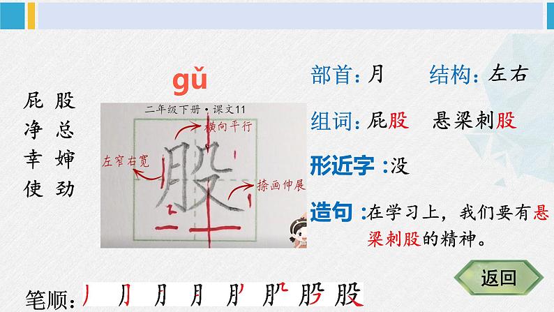 二年级语文下册字帖笔顺教学11 我是一只小虫子（课件）第5页