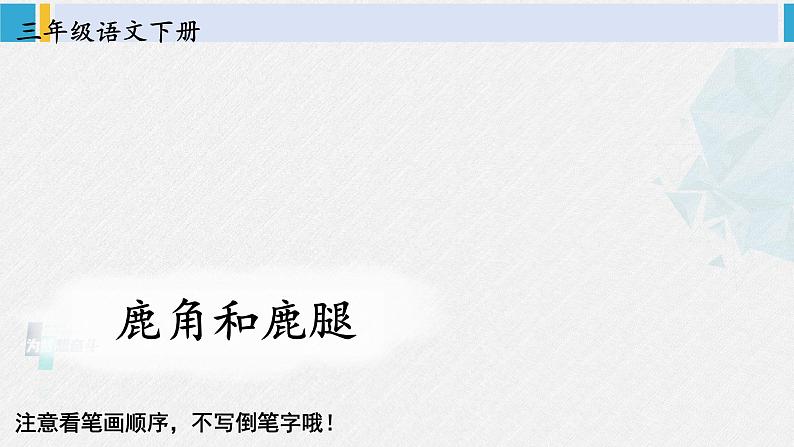 三年级语文生字笔顺 7 鹿角和鹿腿（教学课件）01