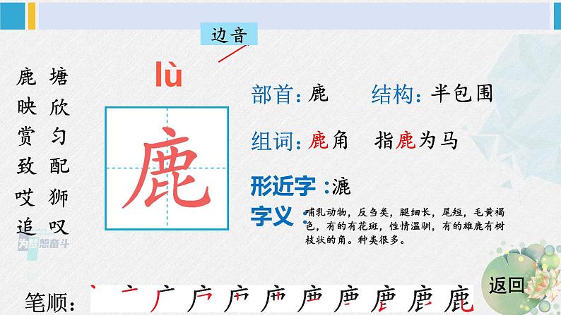 三年级语文生字笔顺 7 鹿角和鹿腿（教学课件）03