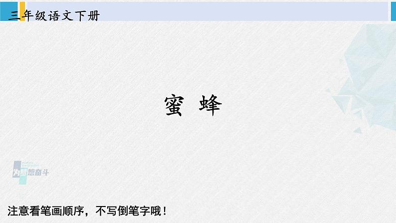 三年级语文生字笔顺 14 蜜蜂（教学课件）第1页