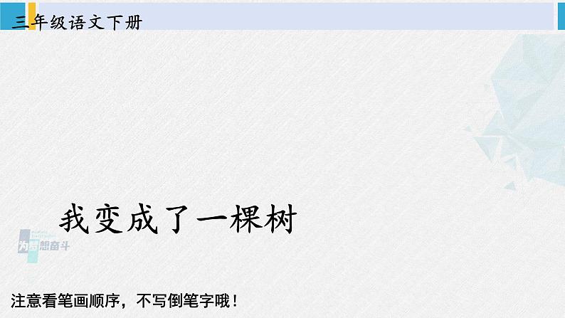 三年级语文生字笔顺 17 我变成了一棵树（教学课件）第1页