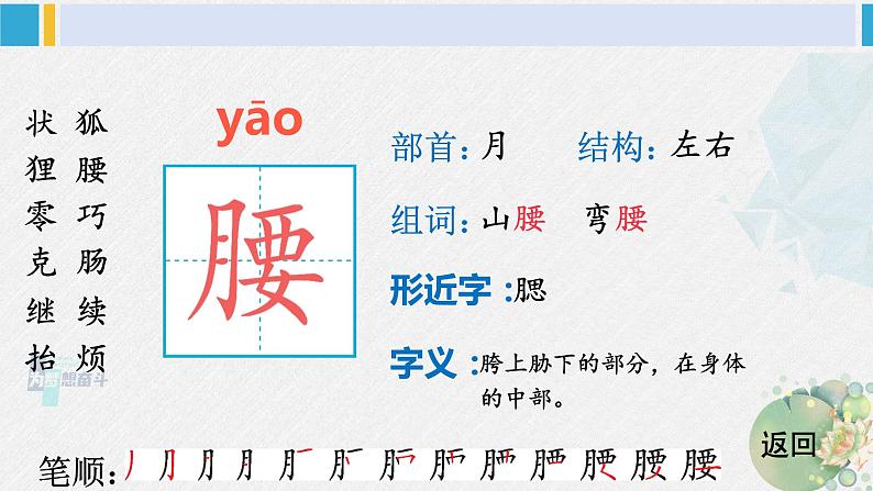 三年级语文生字笔顺 17 我变成了一棵树（教学课件）第6页