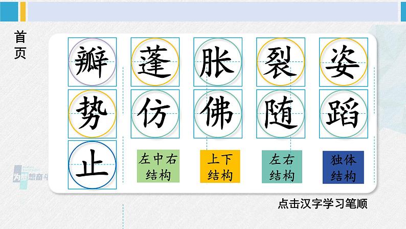 三年级语文生字教学 3 荷花（课件）第2页