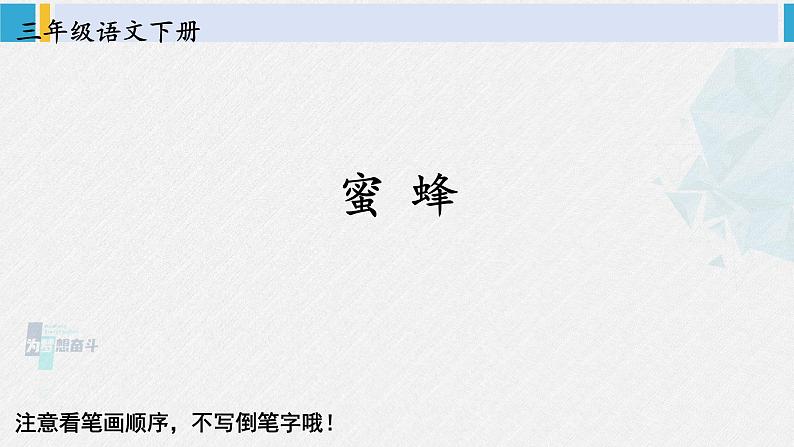 三年级语文生字教学 14 蜜蜂（课件）第1页