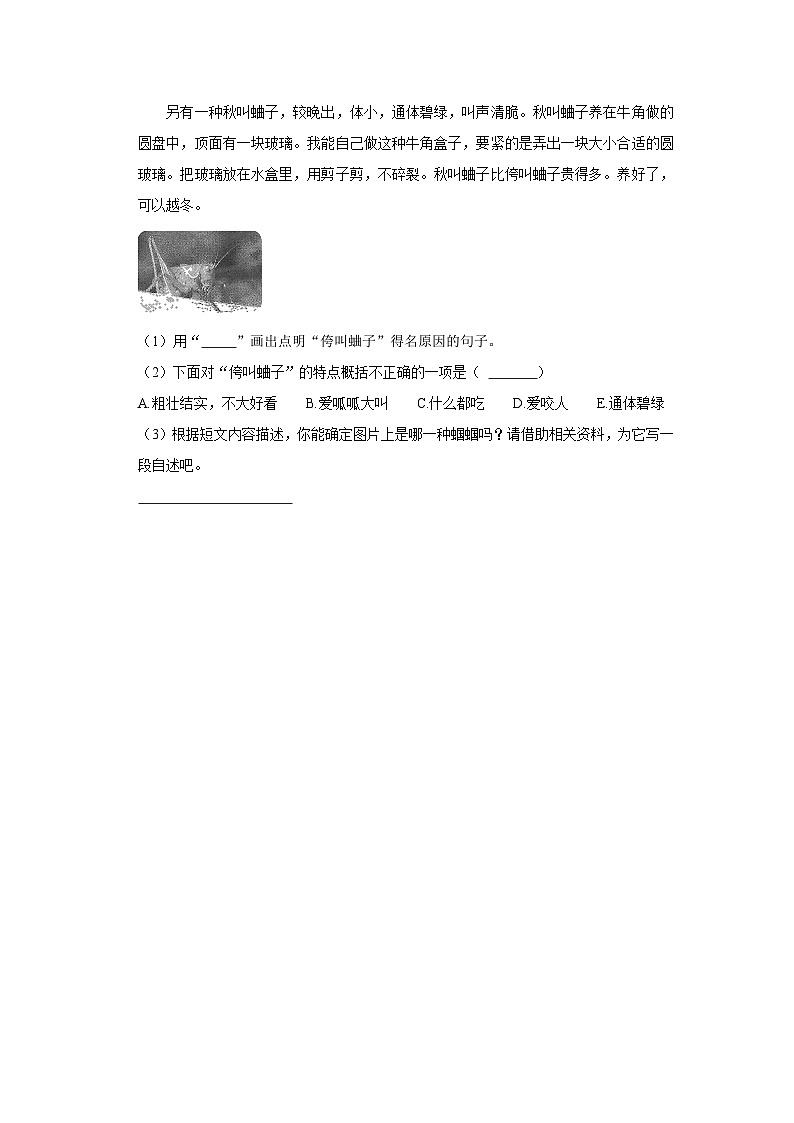 4 昆虫备忘录  （进阶篇）2023-2024学年下学期小学语文人教部编版三年级同步分层作业03