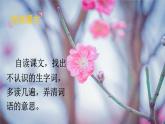 统编版语文六年级上册 4 花之歌课件