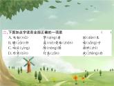 统编版语文六年级上册 第2单元习题课件