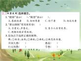 统编版语文六年级上册 第2单元习题课件