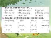 統(tǒng)編版語文六年級上冊 第8單元習(xí)題課件