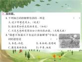 統(tǒng)編版語文六年級上冊 第8單元習(xí)題課件