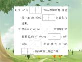 统编版语文六年级上册 期末复习专题习题课件