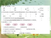 統(tǒng)編版語文六年級上冊 第8單元素養(yǎng)達(dá)標(biāo)測試卷課件