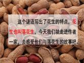 统编版语文五年级上册 2.落花生课件
