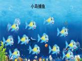统编版语文五年级上册 15.小岛课件