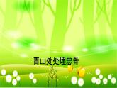 统编版语文五年级下册 10 青山处处埋忠骨课件